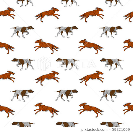 Vector seamless pattern of hunting dog Vector seamless pattern of hunting dog 59821009