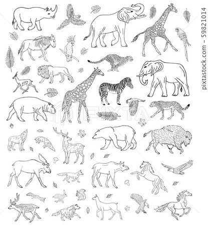 Vector hand drawn sketch set of wild animals-插圖素材 [59821014] - PIXTA圖庫