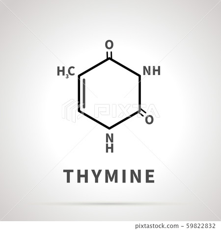 Chemical structure of Thymine, one of the four main nucleobases, simple black icon Chemical structure of Thymine, one of the four main nucleobases, simple black icon 59822832