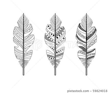vector feathers with abstract drawings 59824018