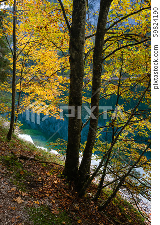 Peaceful autumn Alps mountain lake with clear Peaceful autumn Alps mountain lake with clear 59824190
