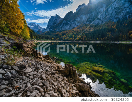 Tree stumps near Gosauseen or Vorderer Gosausee 59824205