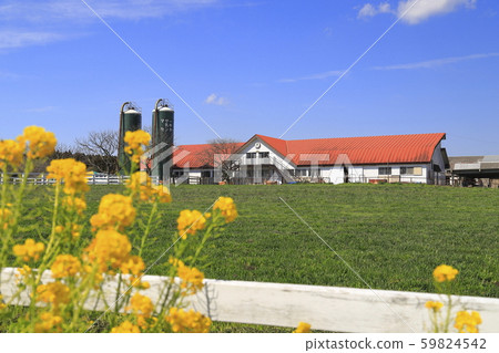 春季母親農場 春季母親農場 59824542