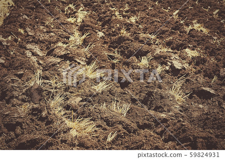 An arable land 59824931