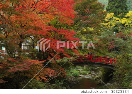 山口縣長門Daininji Tigerike橋秋葉 59825584