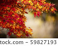 秋天的落葉 59827193