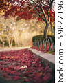 落葉 59827196