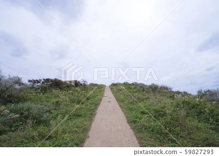 智村島津島（島根縣大木區智村） 59827293