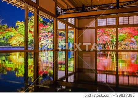 Maple 2 reflected on the floor 59827393