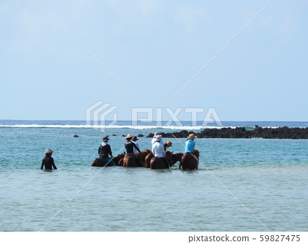 Yonaguni Island (underwater riding) 59827475