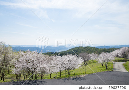 Giraffe Kisogawa water source forest 59827708