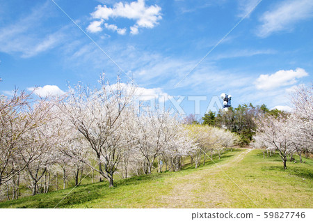 Giraffe Kisogawa water source forest 59827746