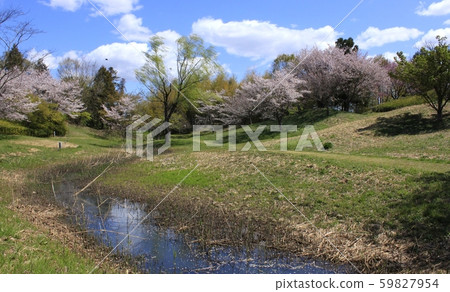 Spring in the park Spring in the park 59827954