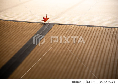 楓葉圖像榻榻米邊緣上的楓葉 59828033