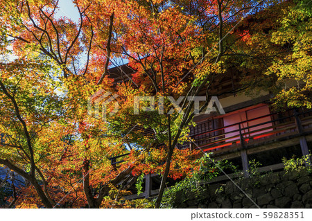 Autumn leaves of Bokoji Temple Autumn leaves of Bokoji Temple 59828351