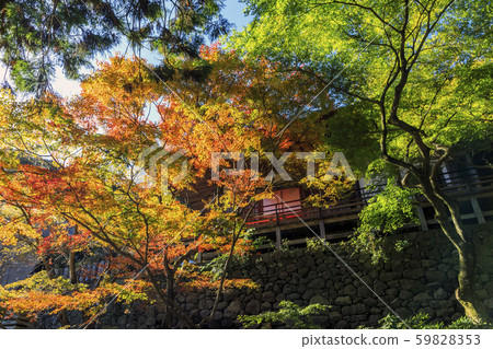 Autumn leaves of Bokoji Temple 59828353