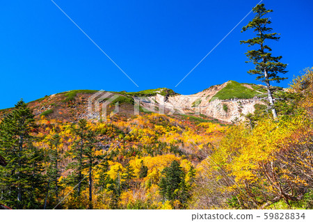 《長野縣》秋葉乃村與自然風光 59828834