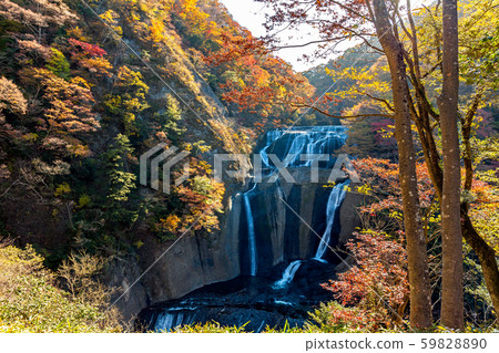 福田的塔基(日本) 福田的塔基(日本) 59828890