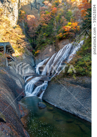 Fukuroda Falls, Japan's Three Names, Autumn leaves, Autumn 59828894