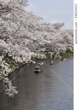 Fukuoka Weir Sakura Park Weir Fukuoka Weir Sakura Park Weir 59829451