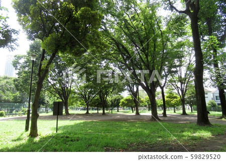 Park in the city center 59829520