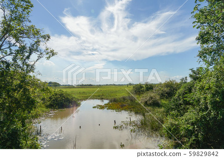 Pantanal landscape 59829842