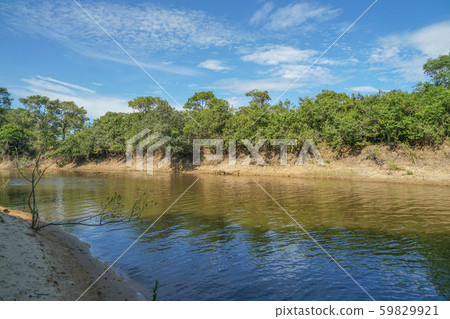 Pantanal River 59829921