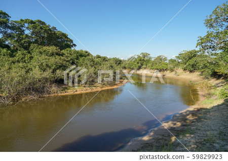 Pantanal River Pantanal River 59829923