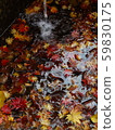 Autumn leaves 59830175