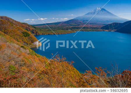 [Mt. Fuji] Nakanokura Pass, Lake Motosu Autumn 59832695