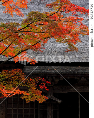 Moetsuji Jodo Garden like a flame 59832739