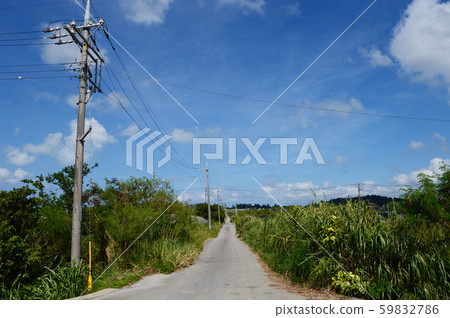 一條帶有電線桿的鄉村單路 一條帶有電線桿的鄉村單路 59832786