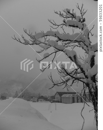 Winter snow scene Winter snow scene 59833201
