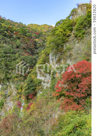 Minoh Park Autumn leaves Minoh Park Autumn leaves 59833820