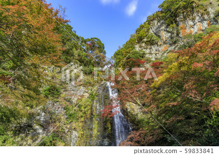 Minoh Park Autumn leaves 59833841