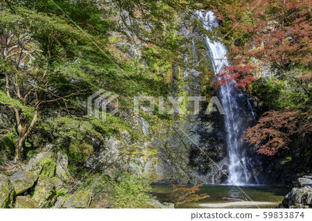 Minoh Park Autumn leaves 59833874