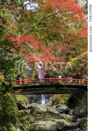 Minoh Park Autumn leaves 59833906