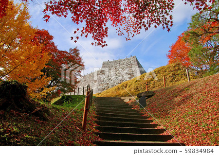 Maple/Autumn Kasumigashiro Park (Fukushima Prefecture Nihonmatsu City) 59834984