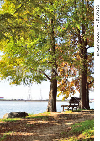 Autumn leaves of Tenmaoike Park 59835255