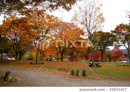 Towada Lake closed leaves Towada Lake closed leaves 59835427
