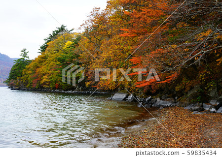 Towada Lake closed leaves Towada Lake closed leaves 59835434