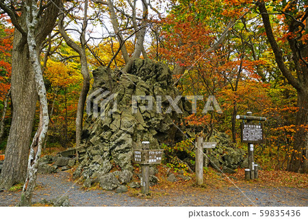 十和田湖閉葉 十和田湖閉葉 59835436