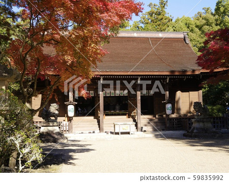 Tada Shrine 59835992