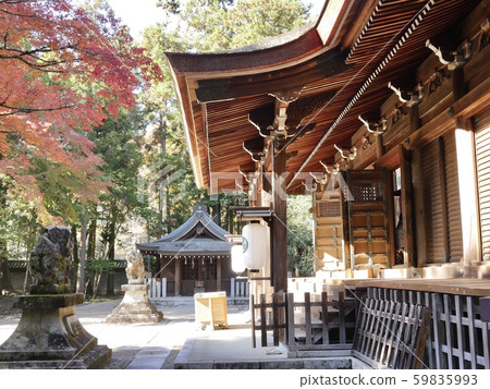 Tada Shrine Tada Shrine 59835993