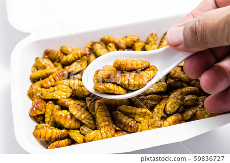Fried silkworm's pupa Fried silkworm's pupa 59836727