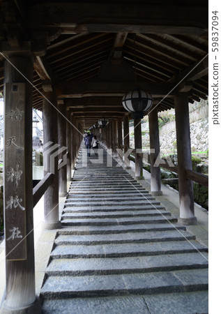 花之寺 59837094