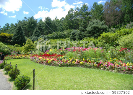 Morning Calm Arboretum Morning Calm Arboretum 59837502