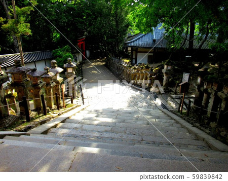 A view of the Sanriku road lined with Kasuga Taisha, Nara, and stone lanterns (2) 59839842