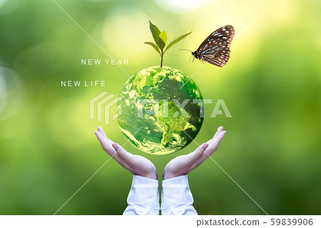 Ecology and Environment Earth. Planet and tree with butterfly Ecology and Environment Earth. Planet and tree with butterfly 59839906