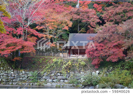 Morning tea garden on the opposite bank Morning tea garden on the opposite bank 59840026